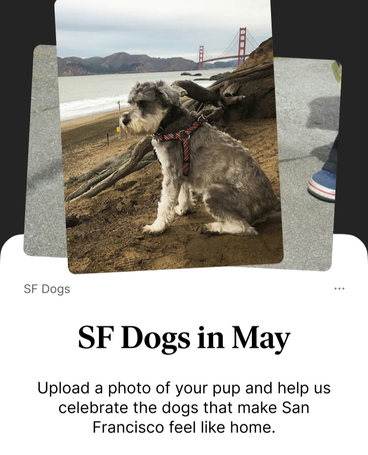 A reader call-out, “SF Dogs in May,” with dog photos and an invitation to upload a picture of your pup